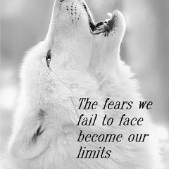 1185fdfc830e0b7411fd4adf9b1ca70b